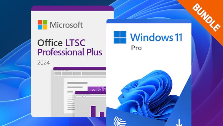Microsoft Windows 11 Pro & Microsoft Office 2024 LTSC Pro Plus Bundle