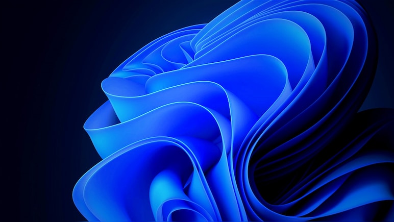 Microsoft Windows 11 Pro