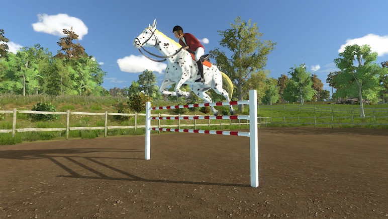 My Little Riding Champion