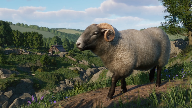Planet Zoo: Barnyard Animal Pack