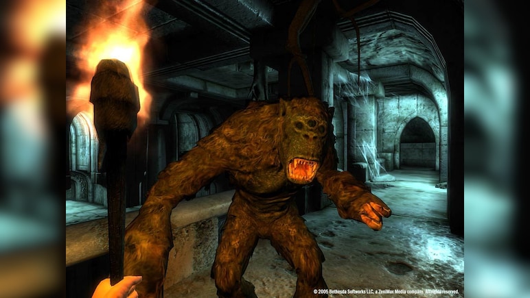 The Elder Scrolls IV: Oblivion Game of the Year Edition Deluxe