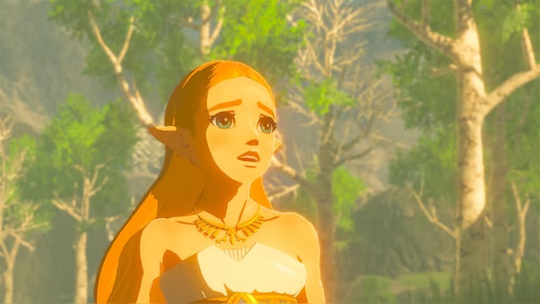 The Legend of Zelda: Breath of the Wild & Expansion Pass Bundle