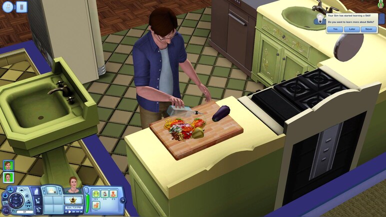 The Sims 3 Plus University Life