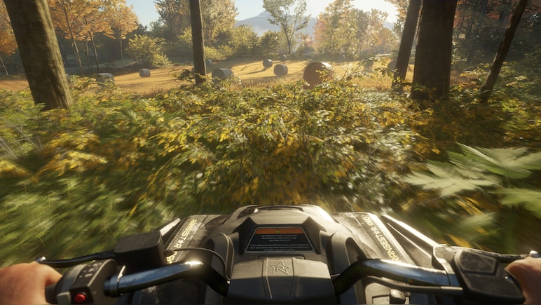 theHunter: Call of the Wild - ATV SABER 4X4 DLC PC