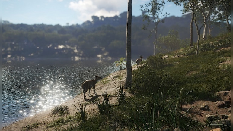 theHunter: Call of the Wild - Emerald Coast Australia