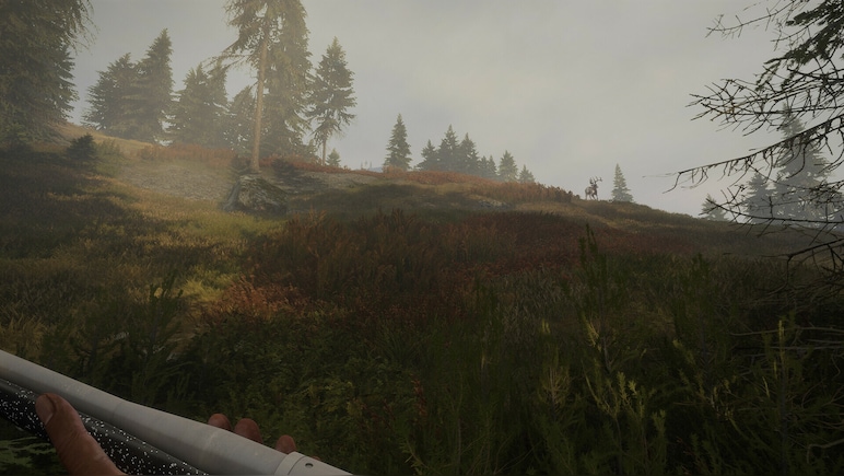 theHunter: Call of the Wild - Hunter Power Pack