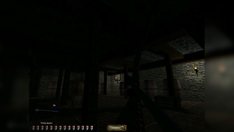 Thief Gold
