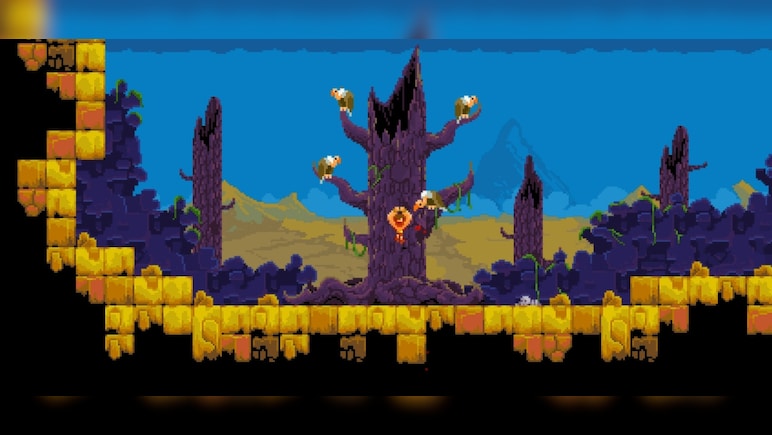 Tiny Barbarian DX PC