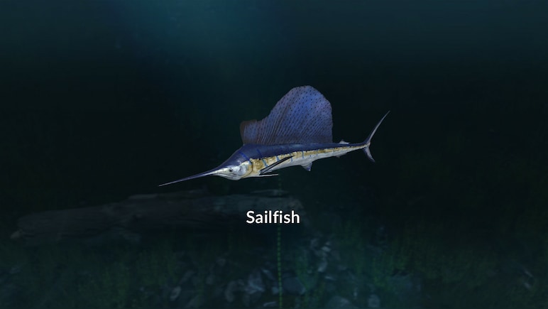 Ultimate Fishing Simulator - New Fish Species PC