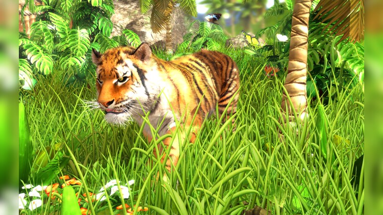 Wildlife Park 3