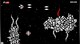 Binarystar Infinity - 5