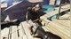 Dead Island Definitive Edition + Dead Island: Riptide Definitive Edition - 6