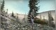 Insurgency - 1