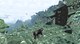 Meadow - 6