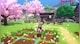 Rune Factory: Guardians of Azuma - 2