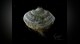 Samorost 2 - 6