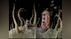 Samorost 2 - 5