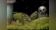 Samorost 2 - 3
