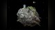 Samorost 2 - 2