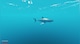 Stranded Deep - 5