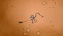 39 Days to Mars - PSN PS4 - Key NORTH AMERICA - 1