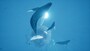 ABZU Steam Key GLOBAL - 4