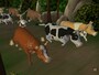 Bone Complete Bundle Steam Key GLOBAL - 2