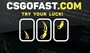 CSGOFAST 100 Fast Coins - CSGOFAST Key - GLOBAL - 1