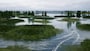 Fishing Sim World Xbox Live Key UNITED STATES - 2