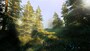 Hunting Simulator 2 | Bear Hunter Edition (Xbox One) - Xbox Live Key - UNITED STATES - 3