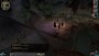 Neverwinter Nights 2 Complete GOG.COM Key GLOBAL - 4