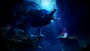 Ori and the Will of the Wisps (Xbox Series X/S, Windows 10) - Xbox Live Key - GLOBAL - 2