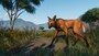 Planet Zoo: Grasslands Animal Pack (PC) - Steam Key - GLOBAL - 3