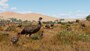 Planet Zoo: Grasslands Animal Pack (PC) - Steam Key - GLOBAL - 4