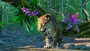 Planet Zoo: South America Pack (PC) - Steam Key - RU/CIS - 3