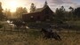 Red Dead Redemption 2 - Rockstar - Key EUROPE - 3