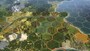 Sid Meier's Civilization V PACK Steam Key EUROPE - 2