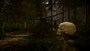 Sons Of The Forest (PC) - Steam Gift - GLOBAL - 3
