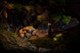 The Dream Machine: Chapter 5 Steam Key GLOBAL - 3