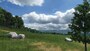 Transport Fever 2 - Steam - Key GLOBAL - 3