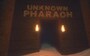 Unknown Pharaoh VR Steam Key GLOBAL - 4