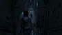 Until Dawn PSN PS4 Key NORTH AMERICA - 4