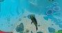 Feed and Grow: Fish (PC) - Steam Gift - EUROPE - 3