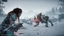 Horizon Zero Dawn: The Frozen Wilds (PS4) - PSN Key - EUROPE - 4