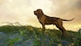 theHunter: Call of the Wild - Bloodhound (PC) - Steam Key - GLOBAL - 3