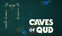Caves of Qud Steam Gift GLOBAL - 2