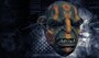 PAYDAY 2 - Troll Mask (PC) - Steam Key - GLOBAL - 1