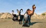 Goat Simulator: PAYDAY Steam Gift GLOBAL - 1