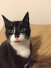 Pengboy08