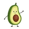 Avocadocodes